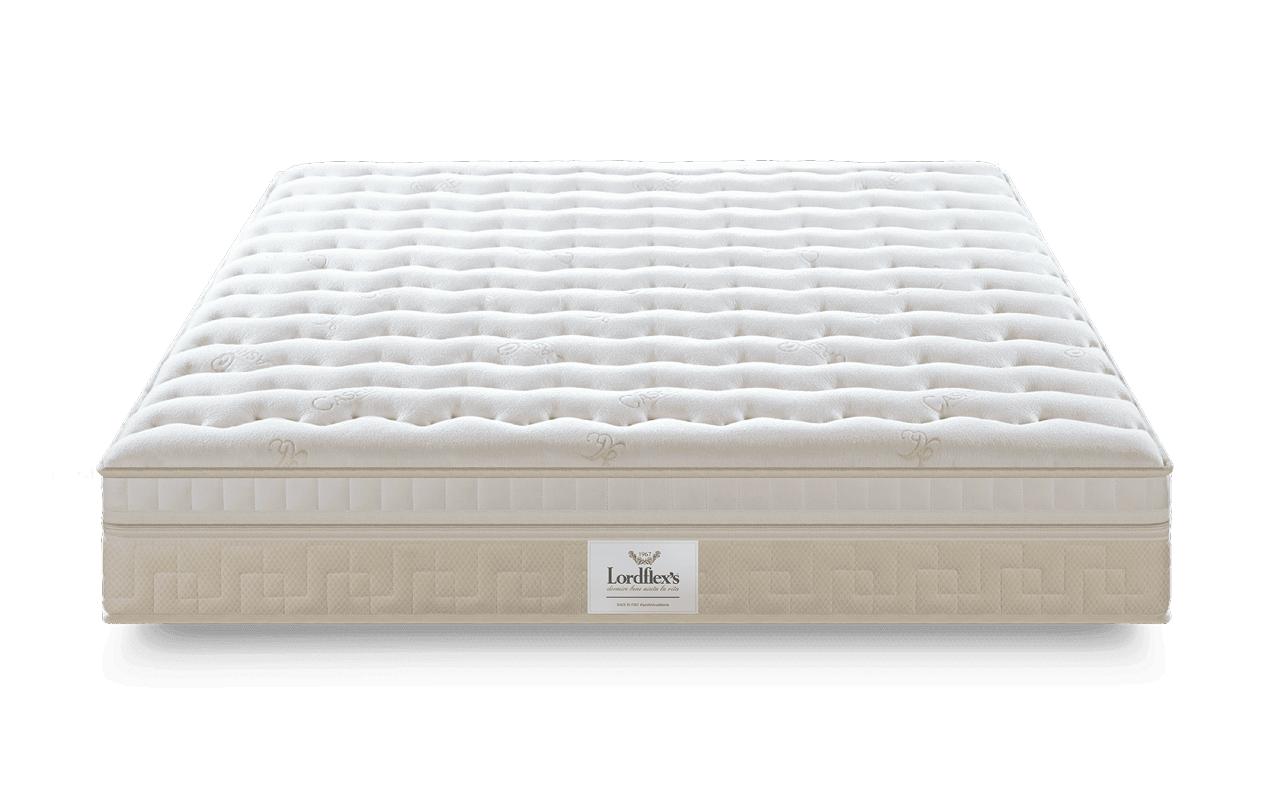 Lordflexs Perfetto Foam